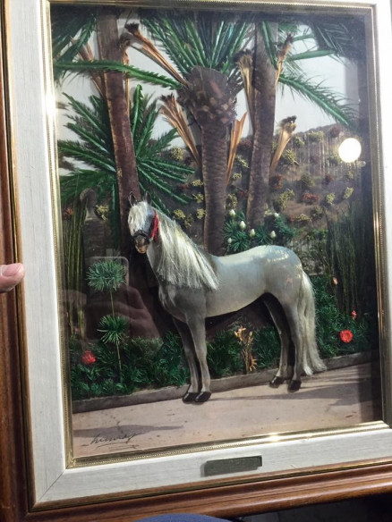 Cuadro: caballo blanco