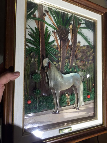 Cuadro: caballo blanco