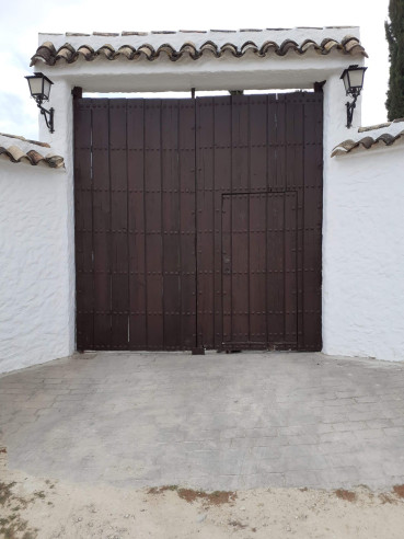 Gran portón con puerta de paso.