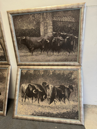 Toros bravos en el campo, conjunto de 4 cuadros...