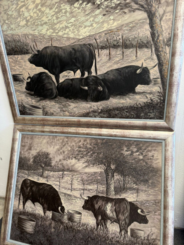 Toros bravos en el campo, conjunto de 4 cuadros...