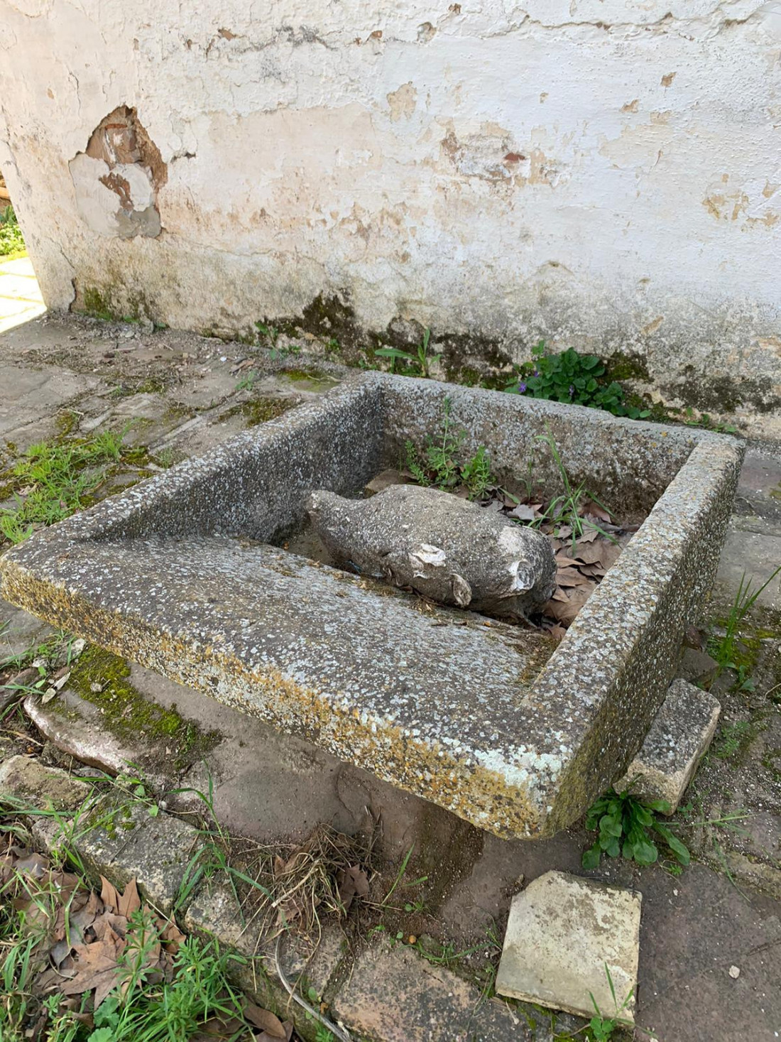 Antigua pila de lavar para fuente